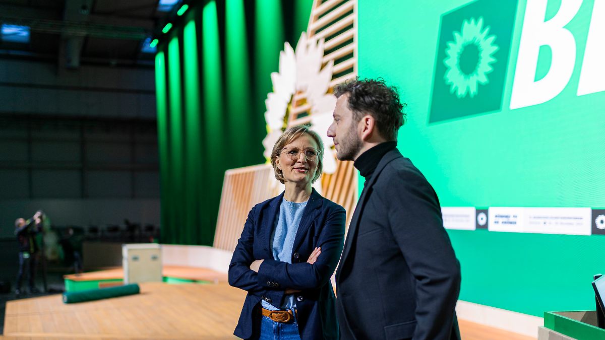 Was vom Grünen-Parteitag bleibt: Es grünt so grün im grauen Hannover