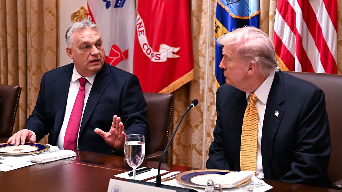 Ein Jahr oder unbefristet?: Orban und Trump bei Ausnahme von Russland-Sanktionen uneinig
