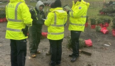 HZA-BI: Oh Tannenbaum/Zoll und Bezirksregierung kontrollieren Weihnachtsbaumbranche im ...