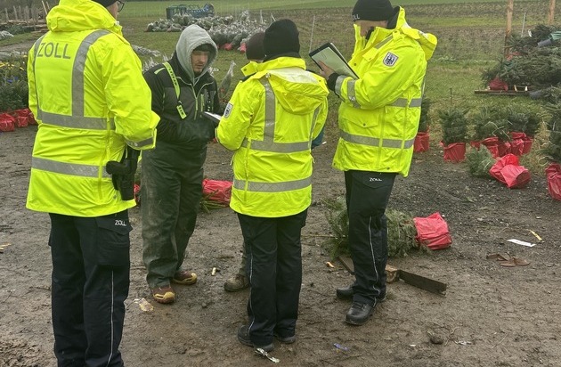 HZA-BI: Oh Tannenbaum/Zoll und Bezirksregierung kontrollieren Weihnachtsbaumbranche im ...