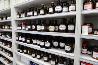 Im Labor des Walter-Bremer-Instituts befindet sich eine große Menge an Arzneimittelstoffen zur Herstellung von Zäpfchen, Tabletten und Salben.