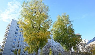 Berlin & Brandenburg: Verkehrsclub: Beim Baumgesetz Verkehrsplanung mitdenken