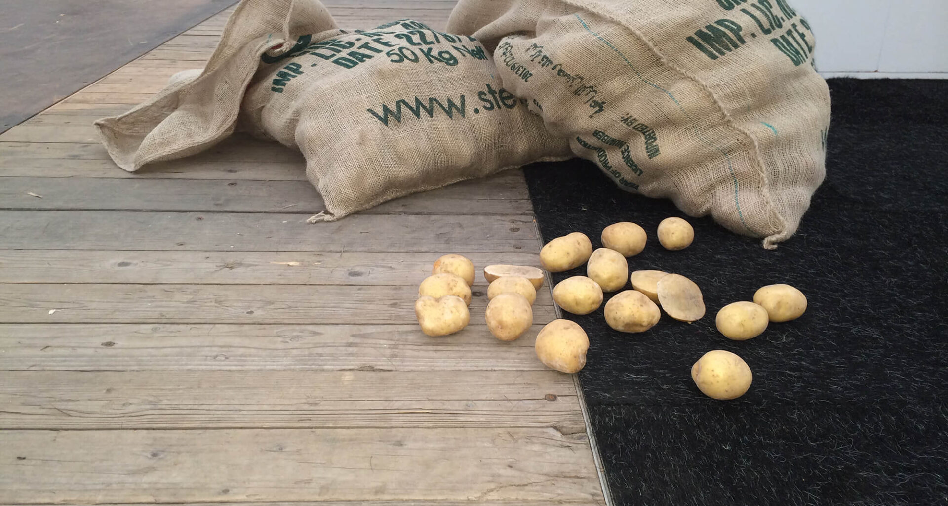 Kartoffeln: Keine Notierungen in Belgien und Frankreich / Pressemitteilung der NEPG