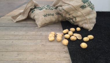 Kartoffeln: Keine Notierungen in Belgien und Frankreich / Pressemitteilung der NEPG