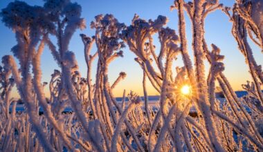 Sonne, Frost und Warnung vor Glätte