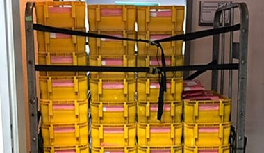 Seniorenratswahl: Bereits 10.000 Wahlbriefe - LokalKlick.eu