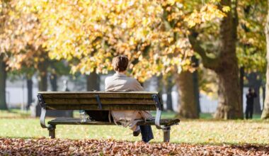 Hamburg & Schleswig-Holstein: Bis zu 16 Grad und Sonne – milder Start in den November