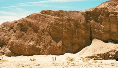 Der bisher beste Film des Jahres kommt endlich ins Heimkino – und zwar schon diese Woche