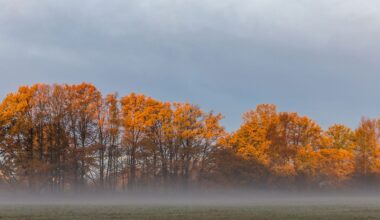 Berlin & Brandenburg: Mildes Intermezzo vor schmuddeligem Herbst-Wochenende