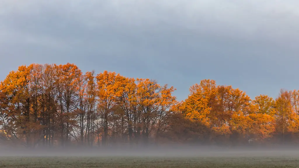 Nebel-und-Wolken-haengen-ueber-Berlin-und-Brandenburg