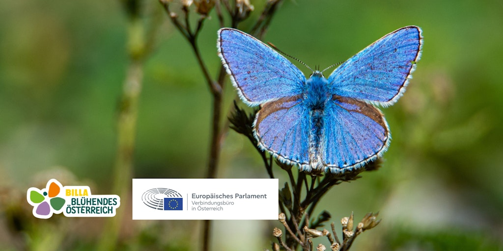 Summit "The Role of Private Foundations and Philanthropy for a Sustainable Europe", 12. Dezember 2025, Haus der EU