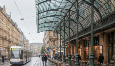 Fuggerstraße: Bäume schön und gut – aber wer schützt uns vor dem Regen?