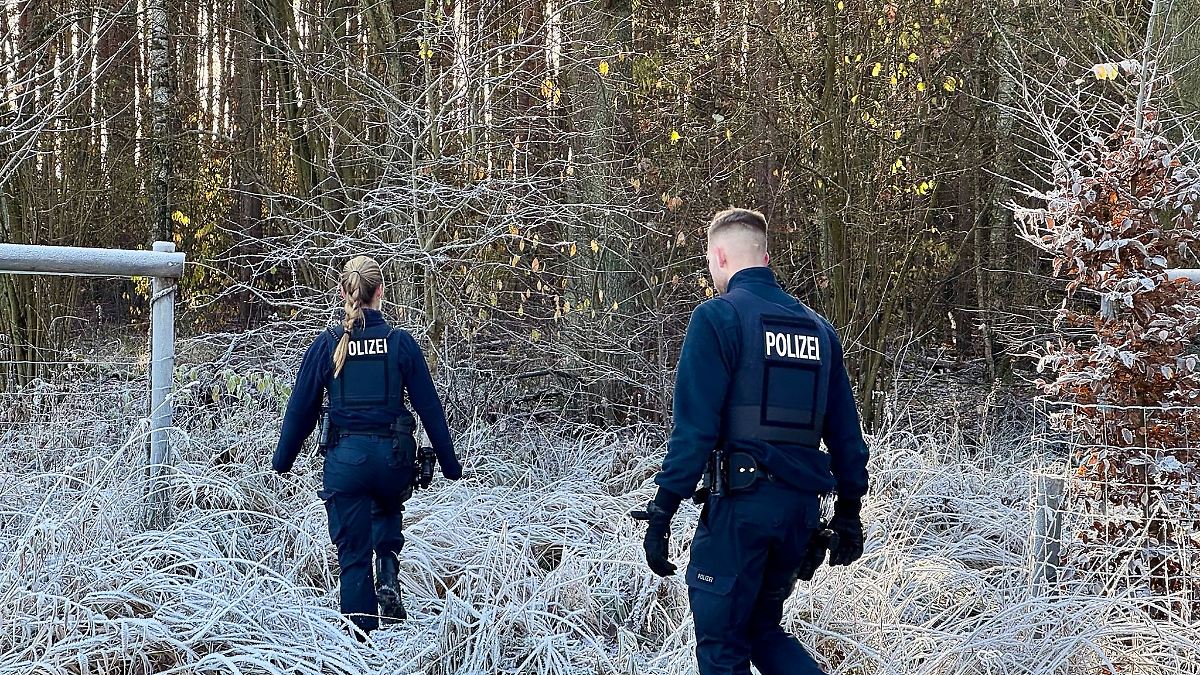 Berlin & Brandenburg: Vermeintliche Känguru-Sichtung löst Einsatz in Falkensee aus