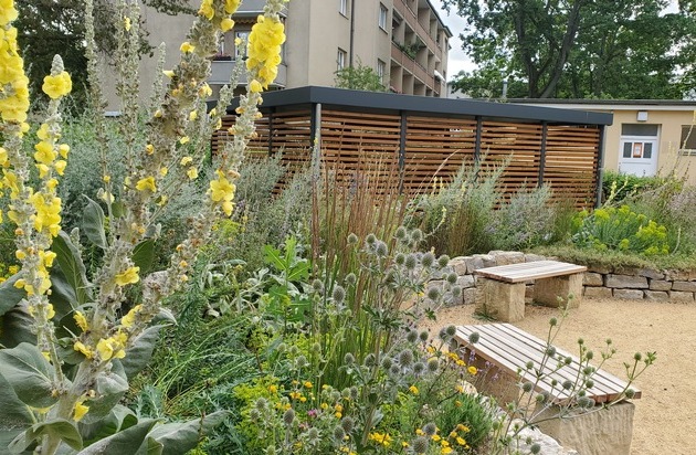 Naturnahe PikoParks Deutschlands Beitrag zum Green Cities Europe Award 2025