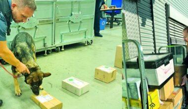 Augsburger Zoll: Schöne Bescherung…! - Augsburg Journal