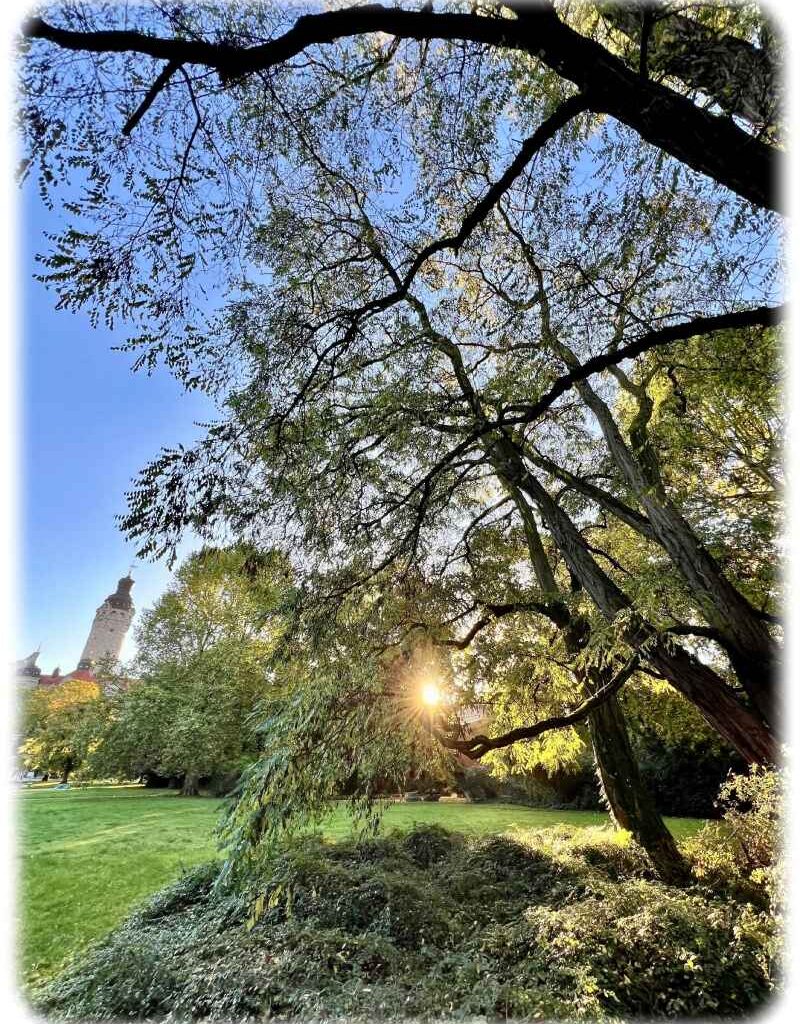 Nicht ewig Exoten: Fremde Pflanzen fügen sich rascher als gedacht ins Ökosystem ein