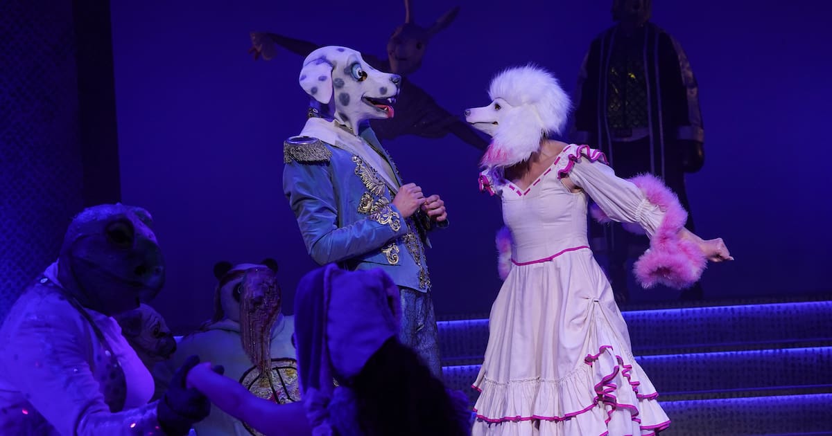 Themen und Tipps in und um Kiel ab 27. November