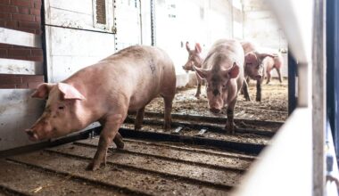 Der Tag auf ntv.de am Dienstag, dem 25. November 2025