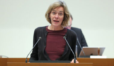 Zwei kleine Beschlussempfehlungen für den Mieterbeirat der LWB + Video · Leipziger Zeitung