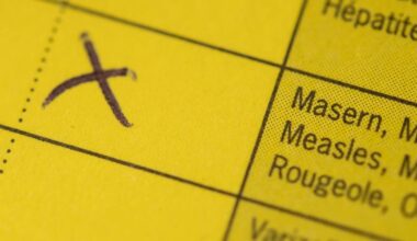 Was zu Meningokokken wichtig ist