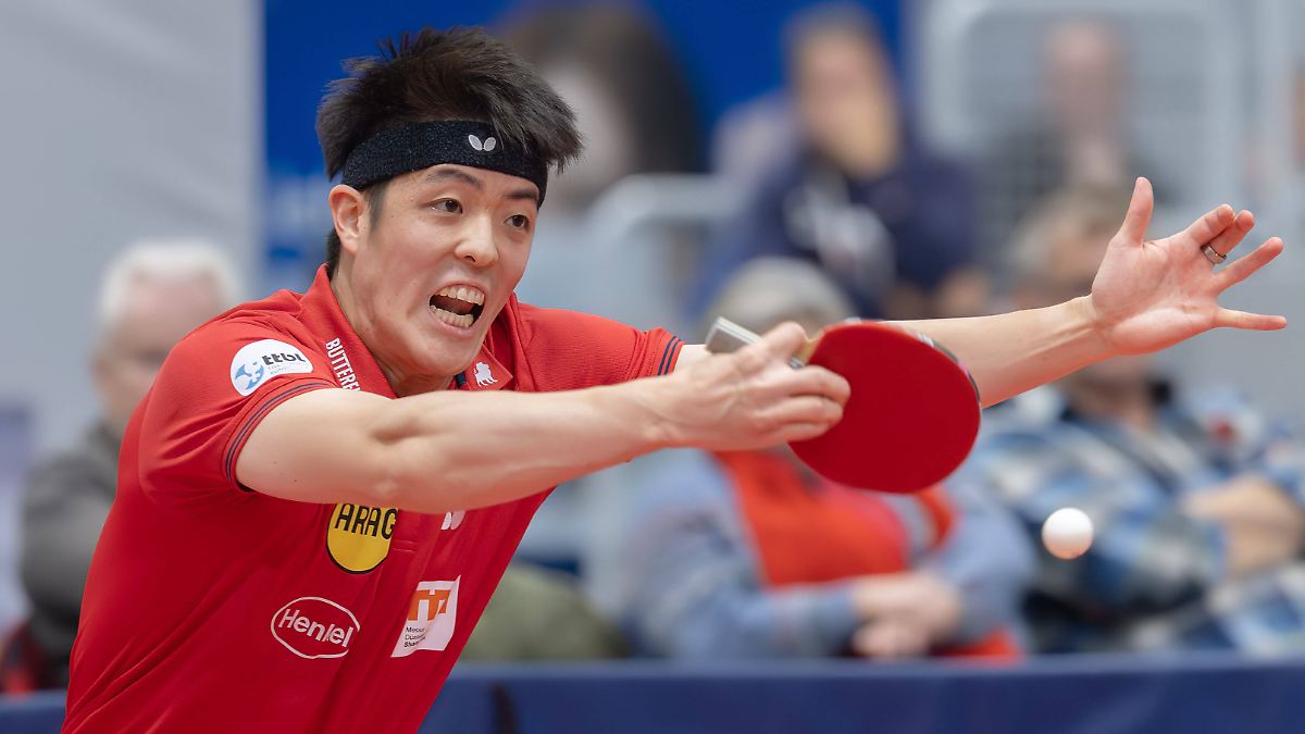 Krise ohne Timo Boll: Bei Borussia Düsseldorf herrscht Fassungslosigkeit nach Pokal-Blamage