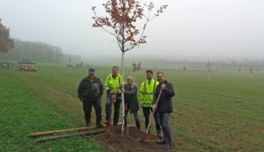Mittelwald nimmt Gestalt an - LokalKlick.eu