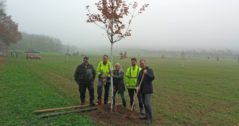 Mittelwald nimmt Gestalt an - LokalKlick.eu