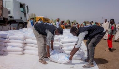 Mehr Hilfe nötig: Katastrophale Lage im Sudan spitzt sich weiter zu / Organisationen ...