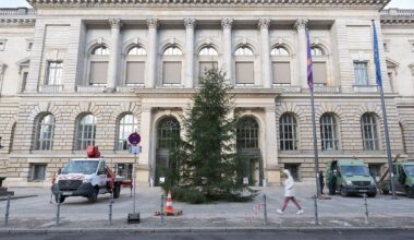 Berlin & Brandenburg: Neuer Weihnachtsbaum für Abgeordnetenhaus