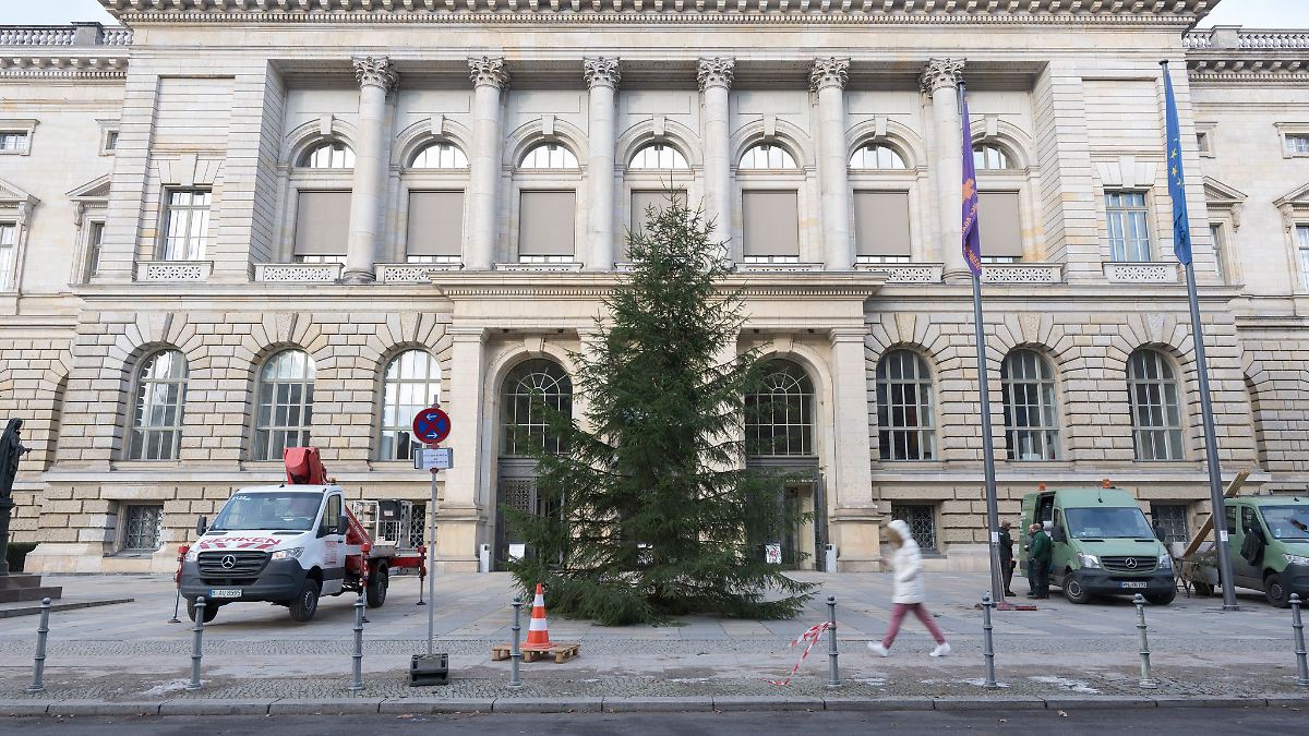 Berlin & Brandenburg: Neuer Weihnachtsbaum für Abgeordnetenhaus