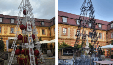 Würzburg: Erster Christbaum der Stadt fängt…