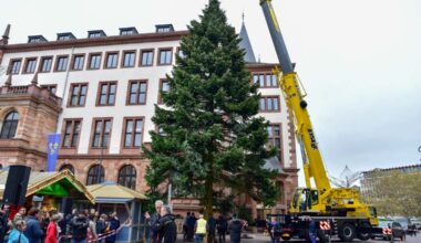 Aus dem Garten auf den Schlossplatz: Wiesbadener Weihnachtsbaum 2025