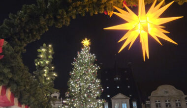 Weihnachtsstern und Weihnachtsbaum auf dem Weihnachtsmarkt.