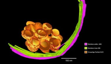 Universität Duisburg-Essen wird für die Universitätsallianz Ruhr NRW-HPC-Standort