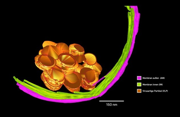 Universität Duisburg-Essen wird für die Universitätsallianz Ruhr NRW-HPC-Standort