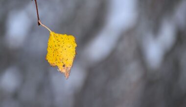 Berlin & Brandenburg: Kalter und überwiegend trockener Start ins Wochenende