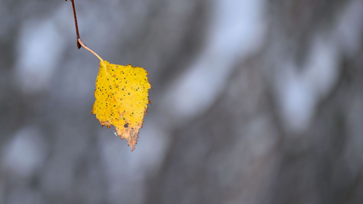 Berlin & Brandenburg: Kalter und überwiegend trockener Start ins Wochenende