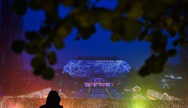 Berlin & Brandenburg: Botanischer Garten erleuchtet weihnachtlich