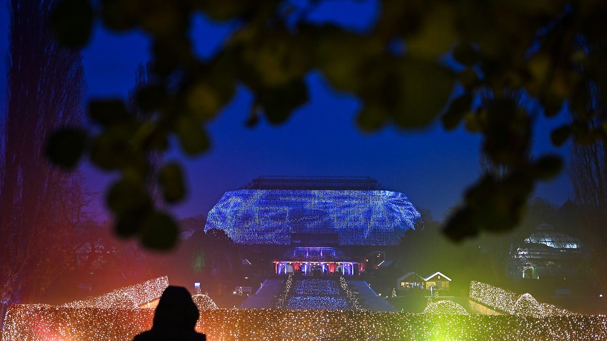 Berlin & Brandenburg: Botanischer Garten erleuchtet weihnachtlich