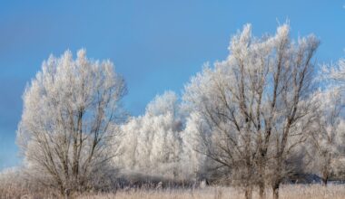 Frostige Nächte in Berlin und Brandenburg erwartet