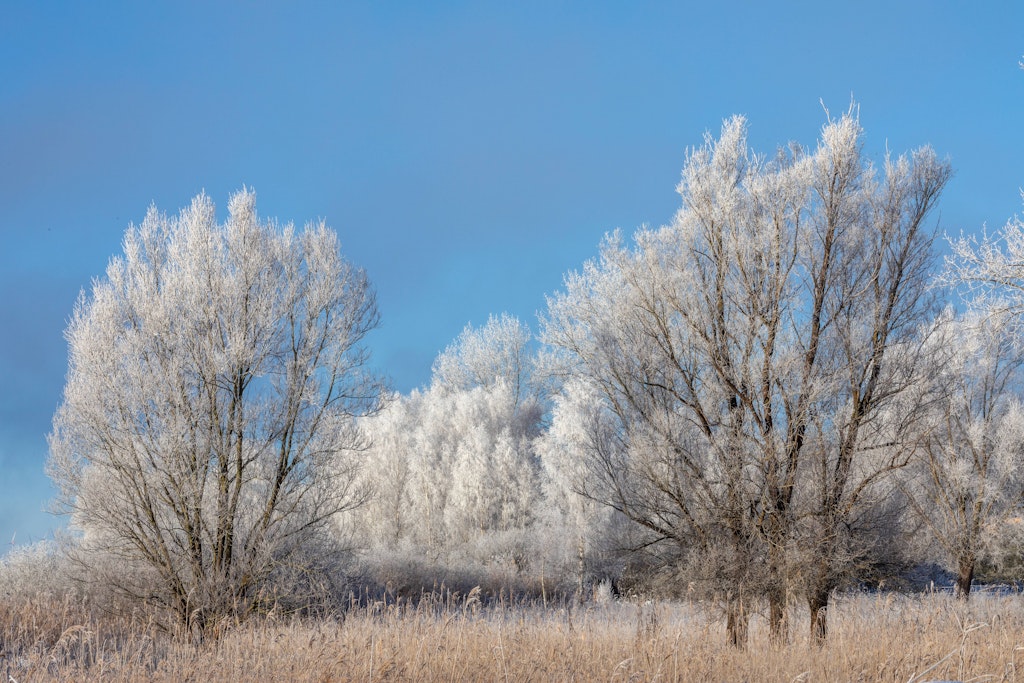 Frostige Nächte in Berlin und Brandenburg erwartet