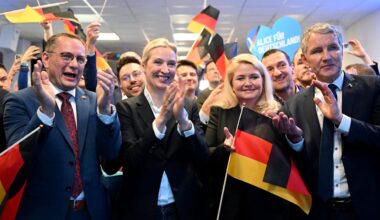 Innenministerium: AfD-Politiker sind in Gefahr | Politik