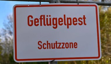 Märkisch-Oderland - Weiterer Ausbruch von Vogelgrippe in Brandenburg - Wissen