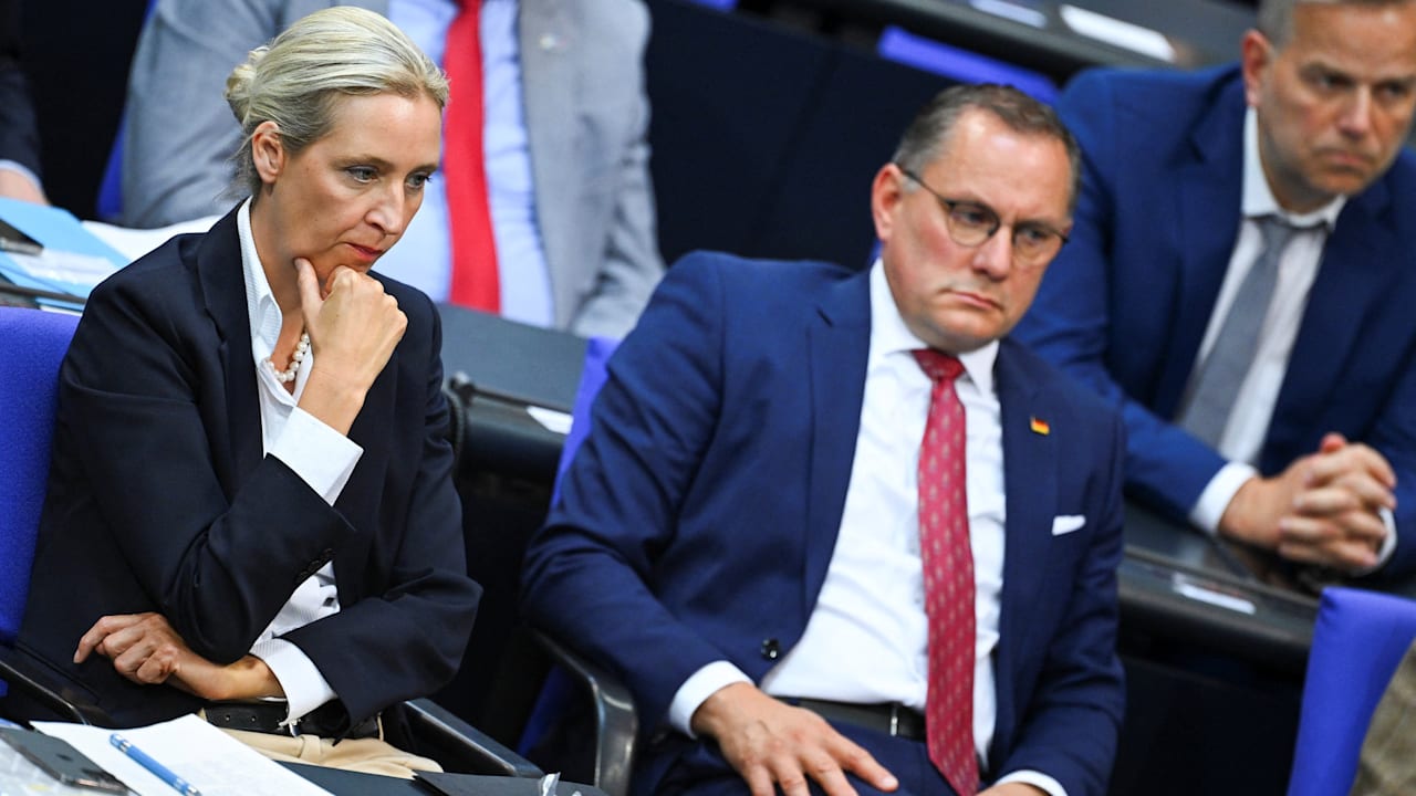 Top-Experten sicher: AfD verstößt mit Putin-Zoff gegen eiserne Regel | Politik