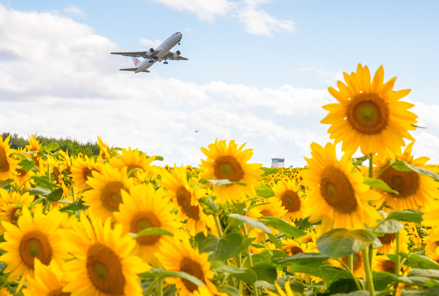 EU-Initiative entwickelt KI-Plattform zur Reduktion von Luftfahrt-Emissionen