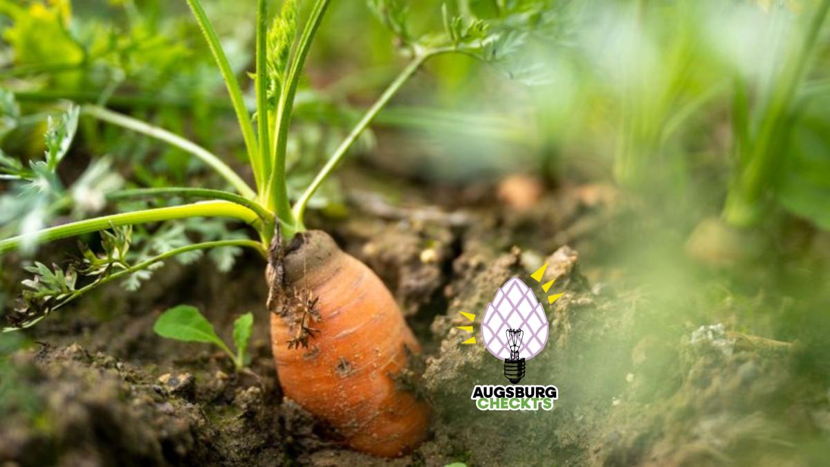 Alnatura schließt keine AfD-Wähler aus.