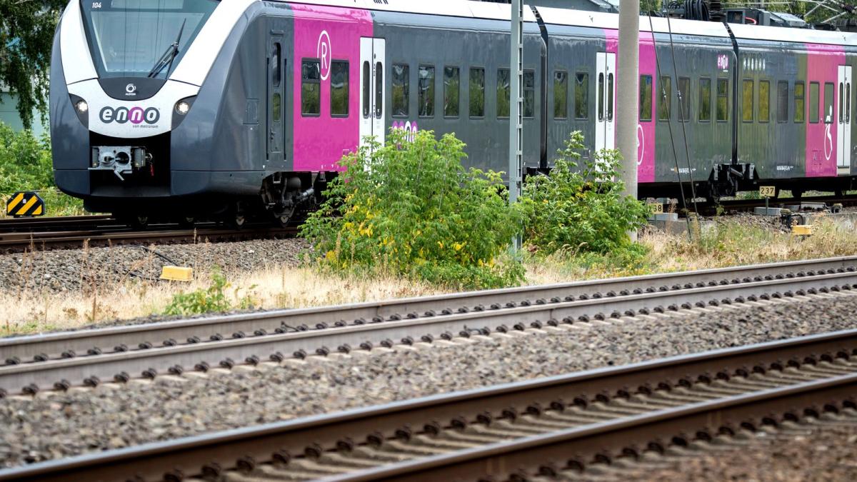 20 Männer stürmen Regionalzug und sprühen Graffiti