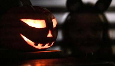 Igel auf Schulhof angezündet? Polizei meldet zahlreiche Einsätze in Region Osnabrück - noz.de