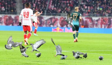 DFB-Pokal: Vogel-Alarm! Der verzweifelte Kampf von RB Leipzig gegen das Tauben-Problem | Sport