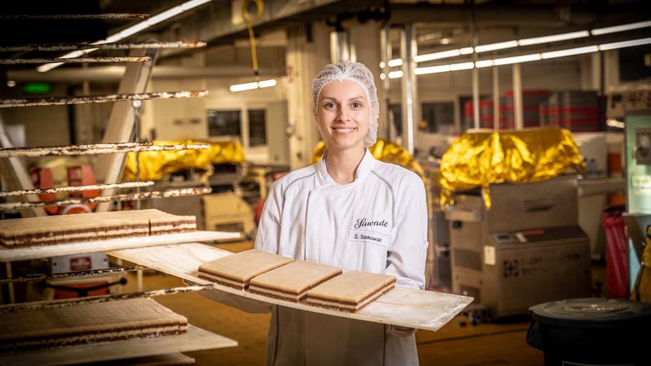 Gunnar Schupelius: Wer nicht ausbildet, den will der Senat bestrafen | Regional